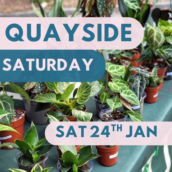 Quayside Media City Makers Market - Saturday 24th January