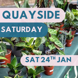 Quayside Media City Makers Market - Saturday 24th January